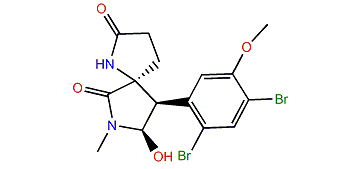 Amathaspiramide D